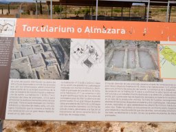 Yacimiento de Villaricos 2012